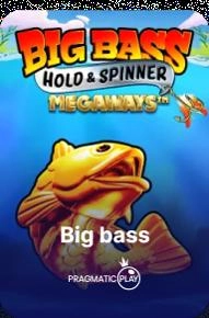 Big-Bass